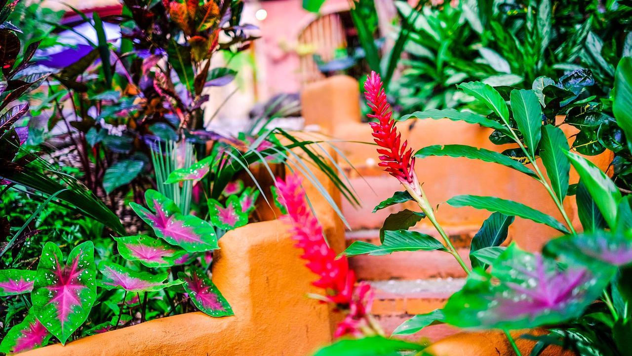 Casas Mal Paisアパートホテル エクステリア 写真
